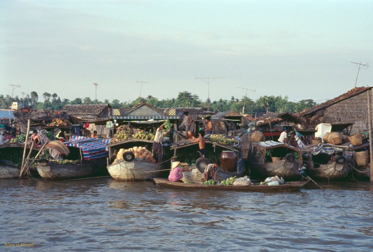 Vietnam 1994-248 Delta du Mekong 