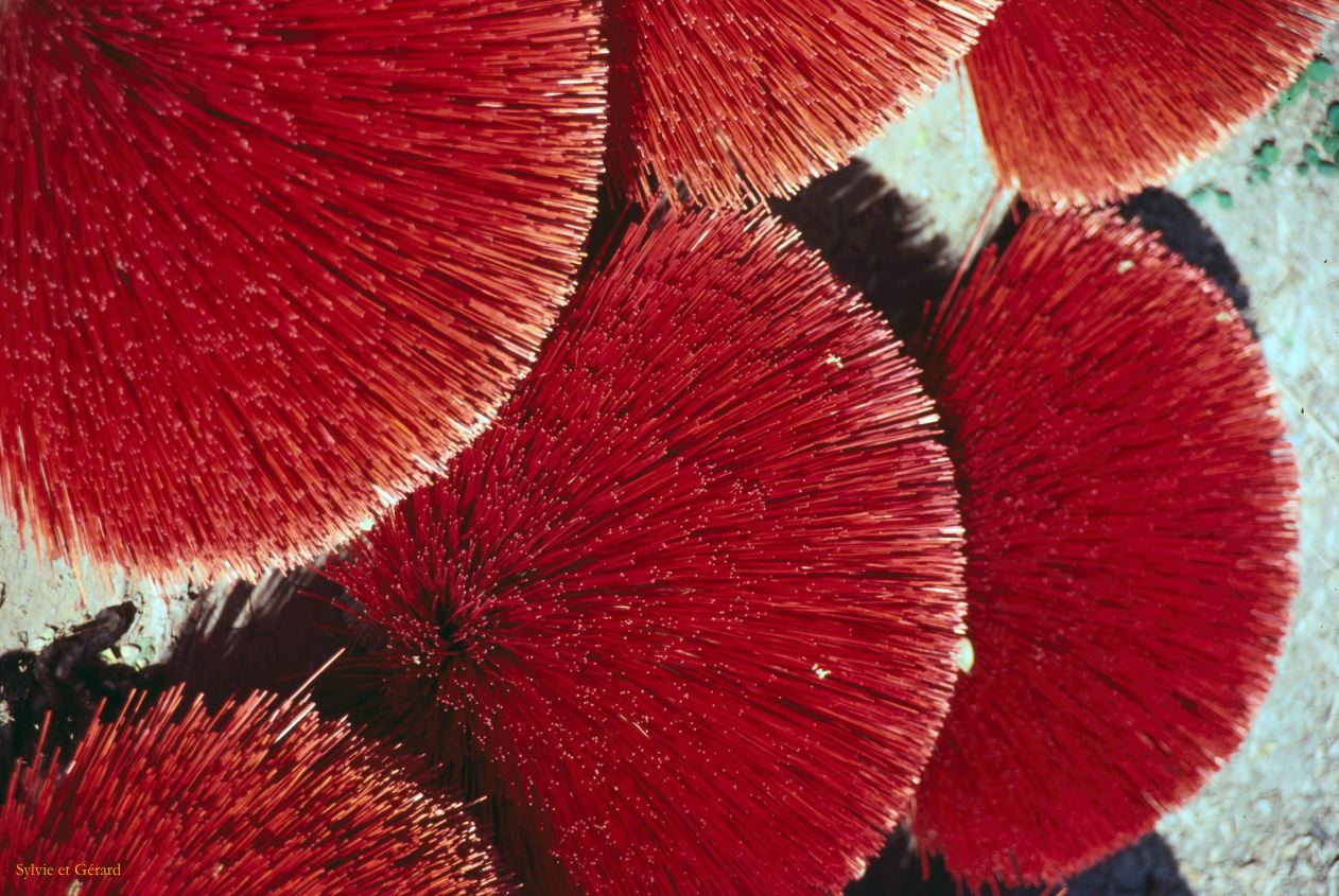 Vietnam 1994-256 Delta du Mekong 