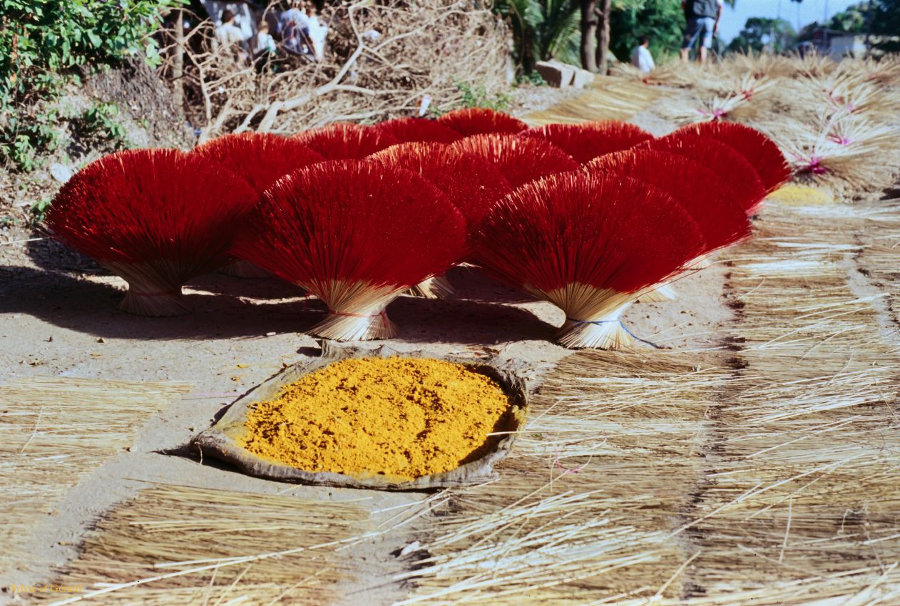 Vietnam 1994-257 Delta du Mekong 