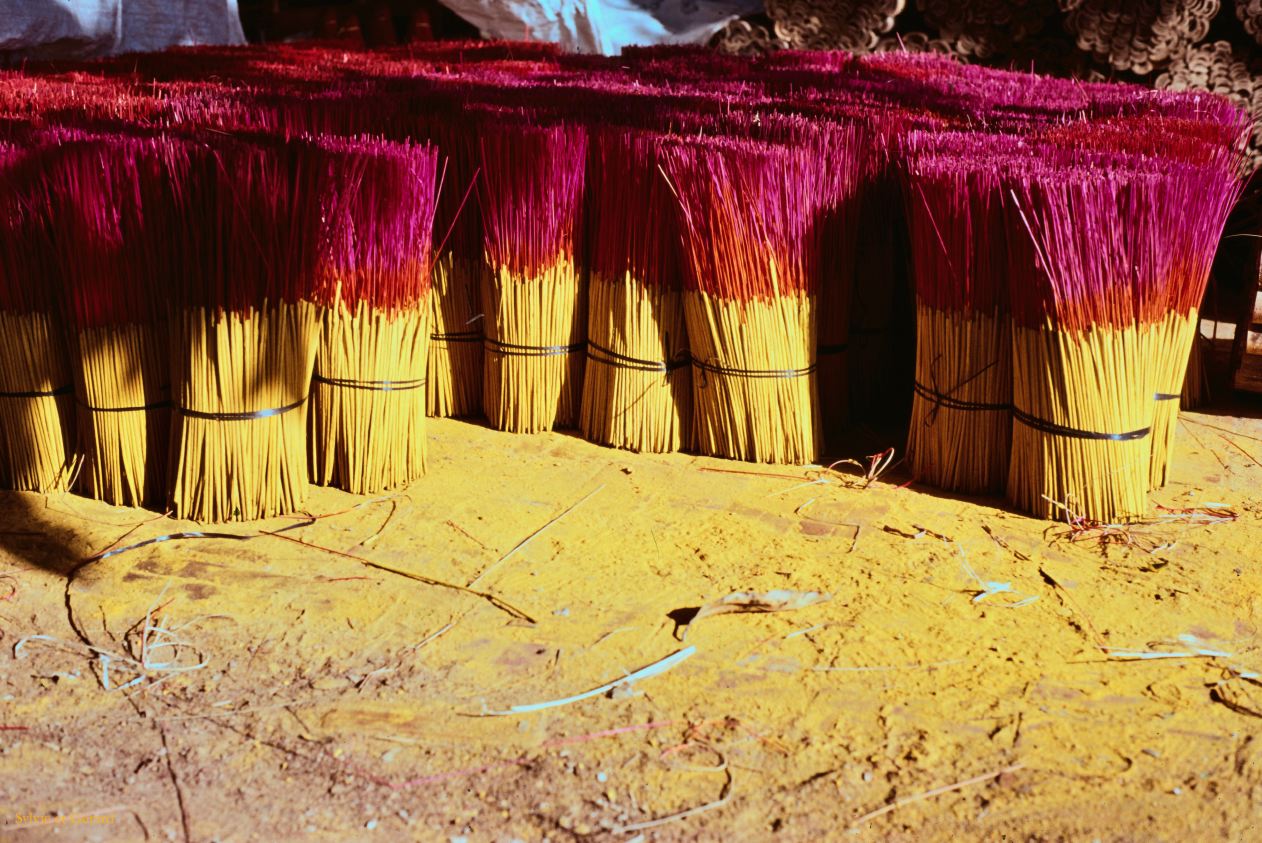 Vietnam 1994-259 Delta du Mekong 