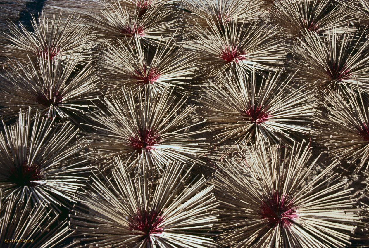 Vietnam 1994-260 Delta du Mekong 