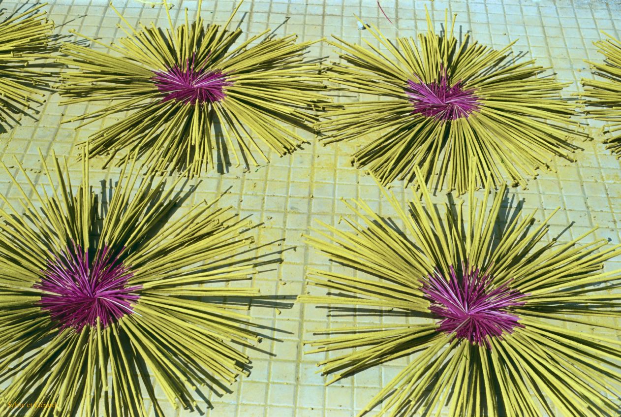 Vietnam 1994-261 Delta du Mekong 