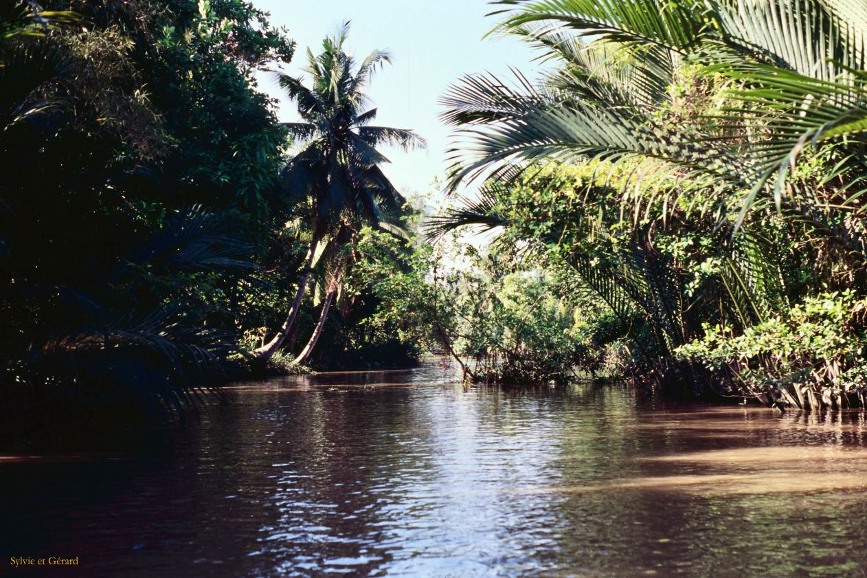 Vietnam 1994-262 Delta du Mekong 
