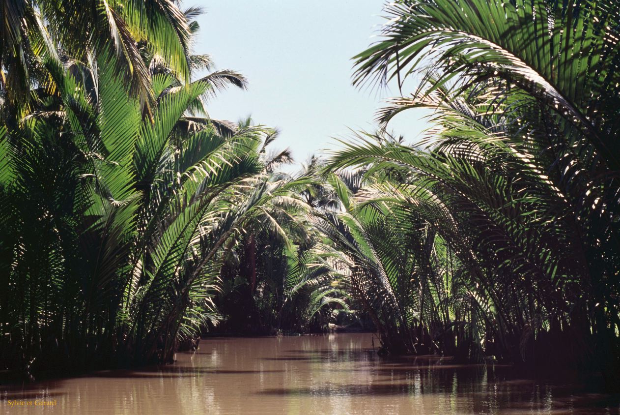 Vietnam 1994-263 Delta du Mekong 