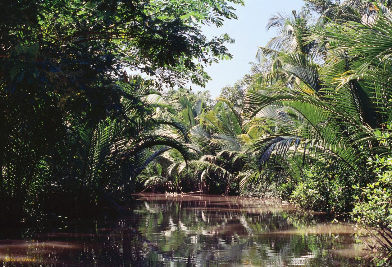 Vietnam 1994-264 Delta du Mekong 