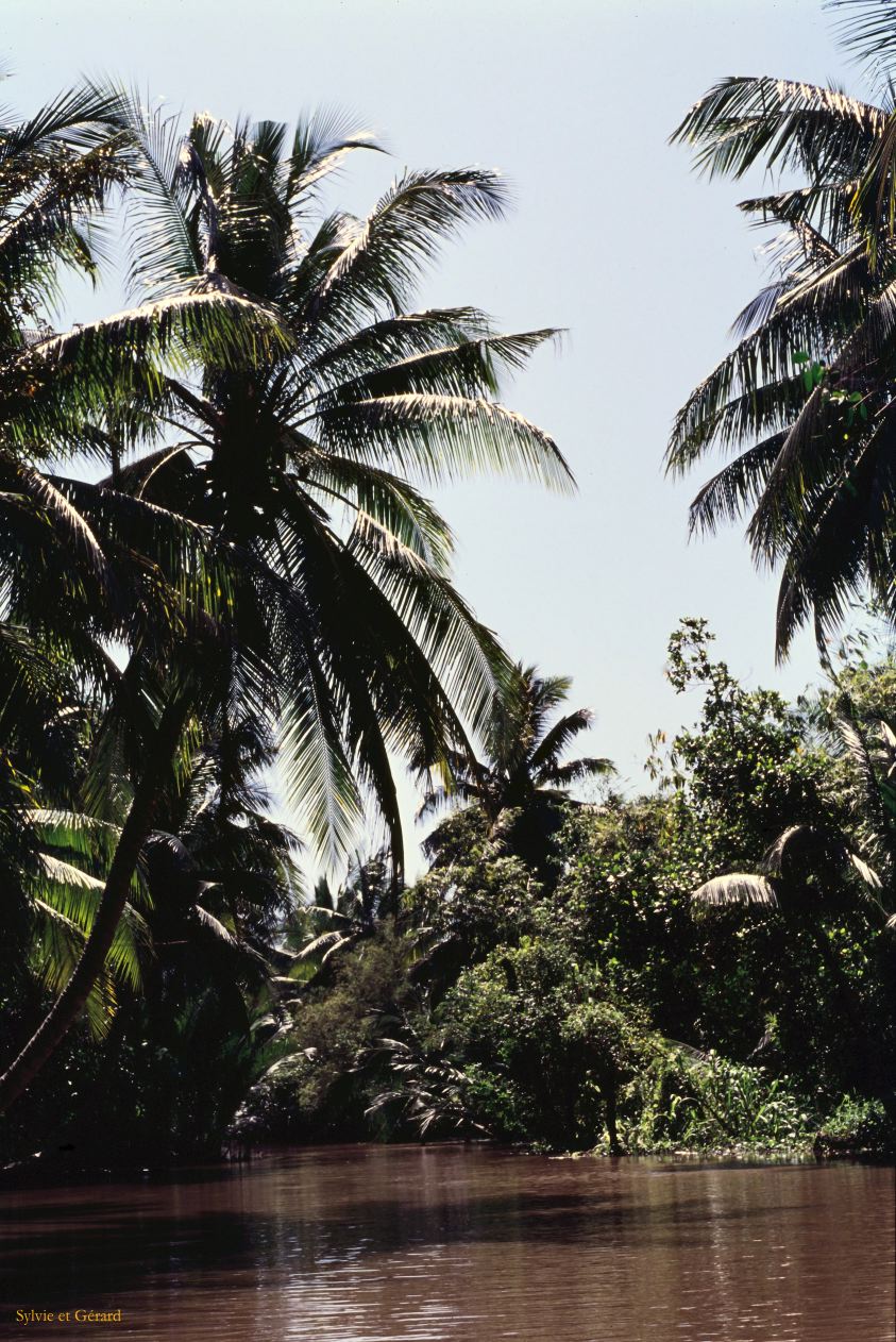 Vietnam 1994-265 Delta du Mekong 