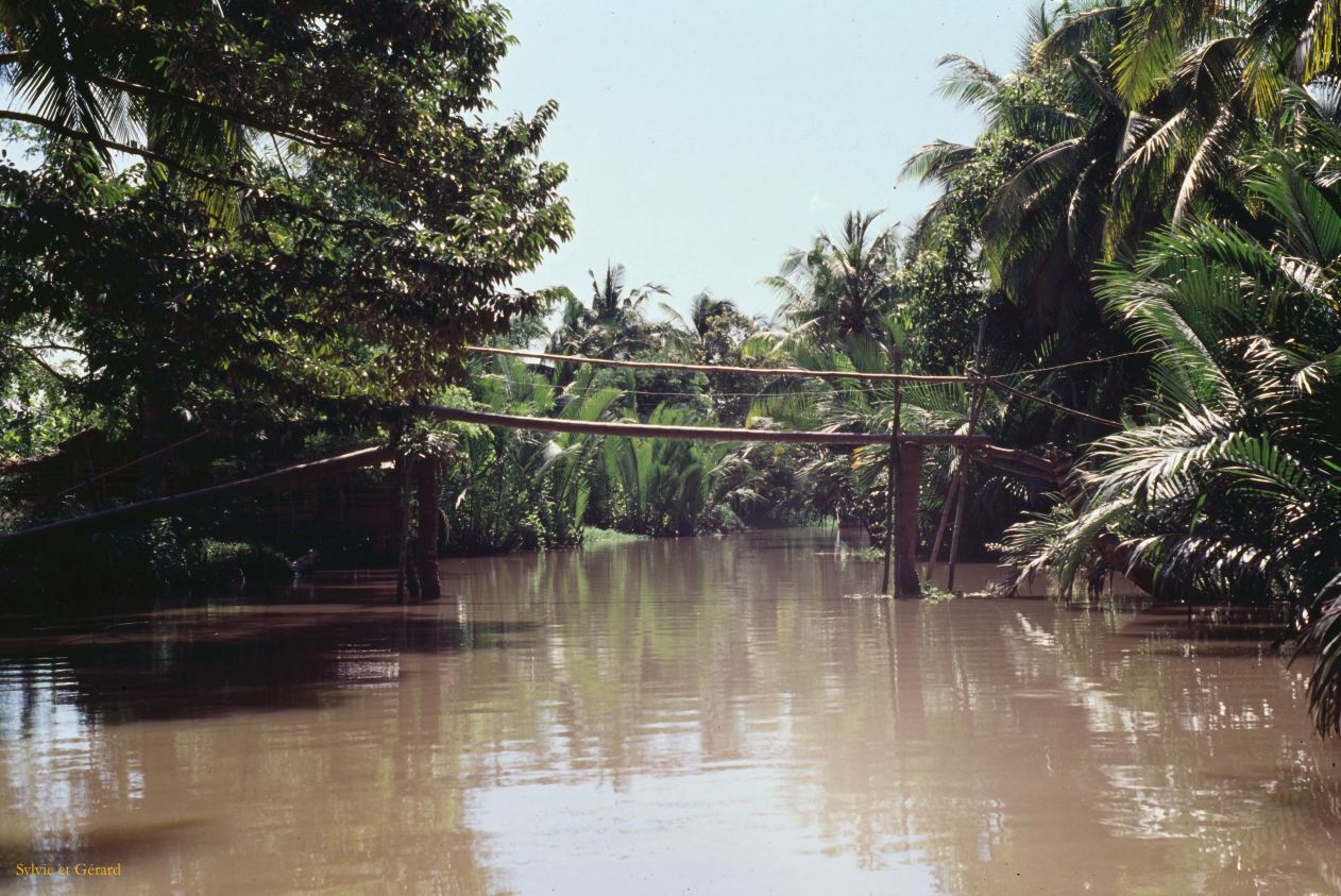 Vietnam 1994-266 Delta du Mekong 
