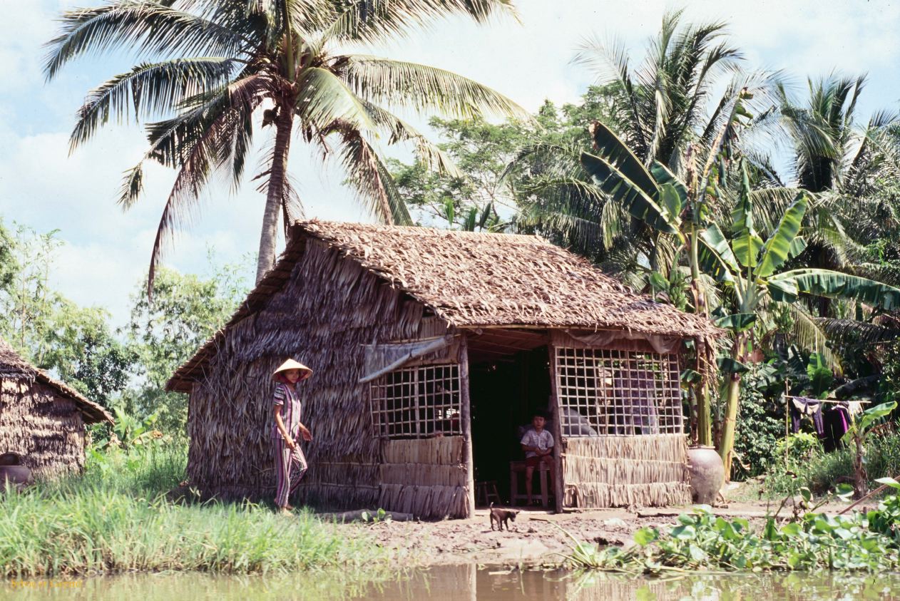 Vietnam 1994-274 Delta du Mekong 