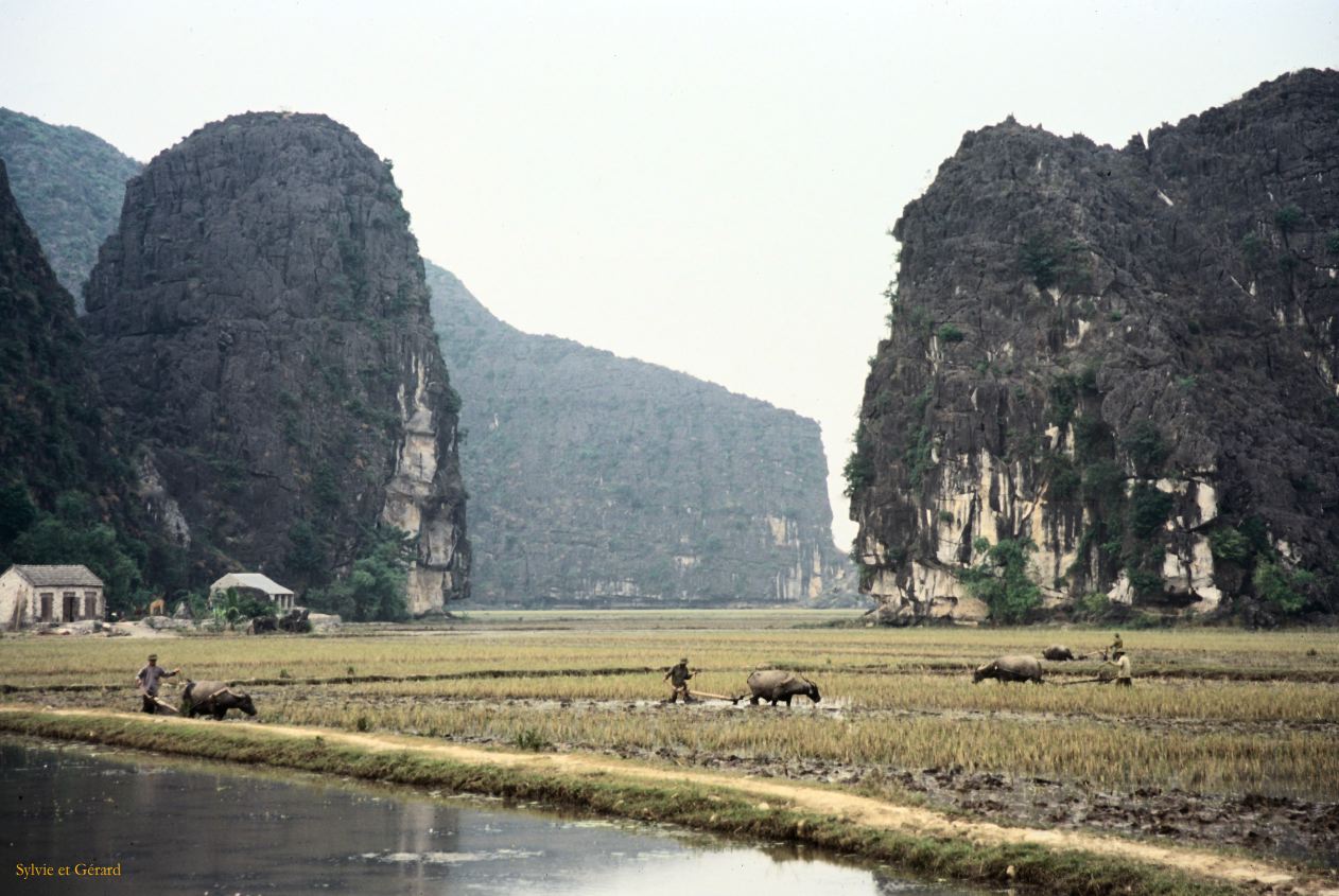 Vietnam 1994-051 Ninh Binh 