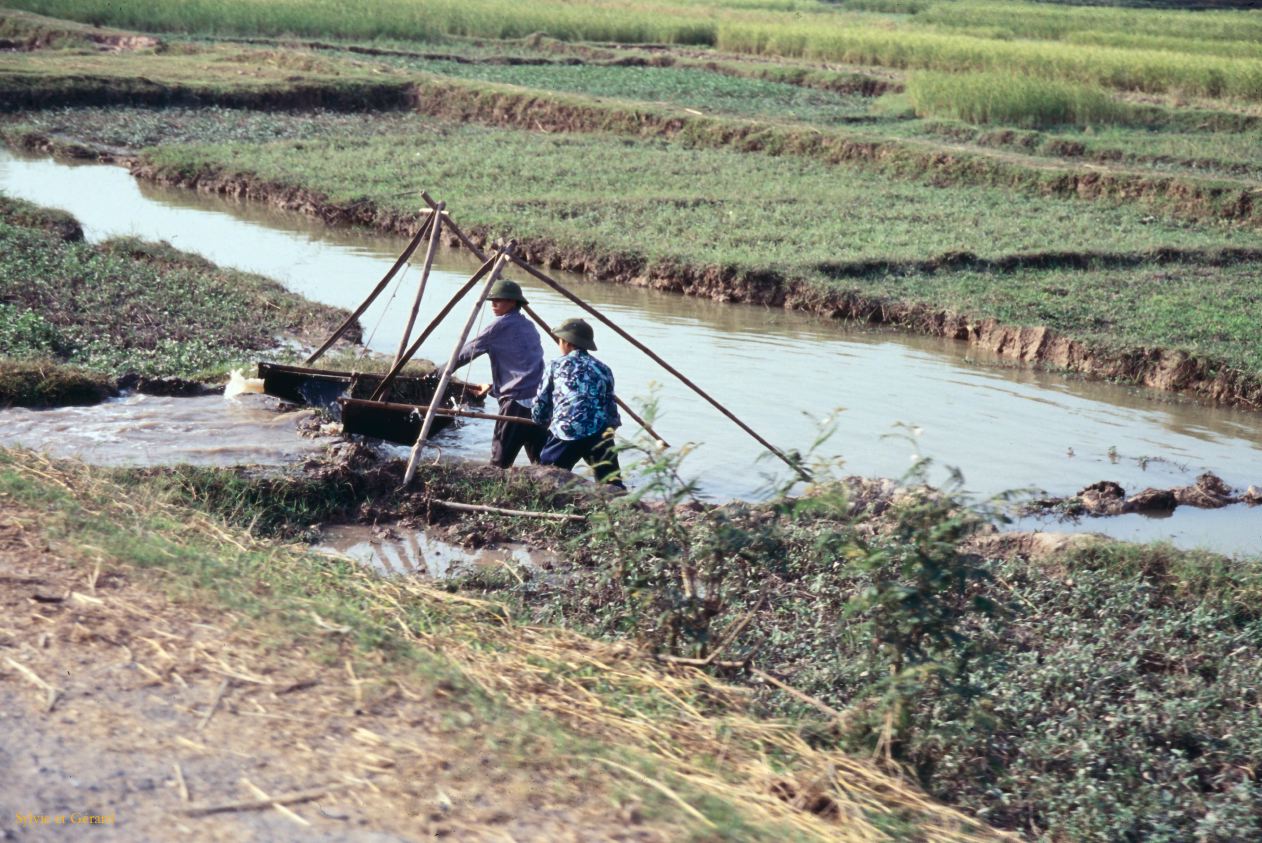 Vietnam 1994-079